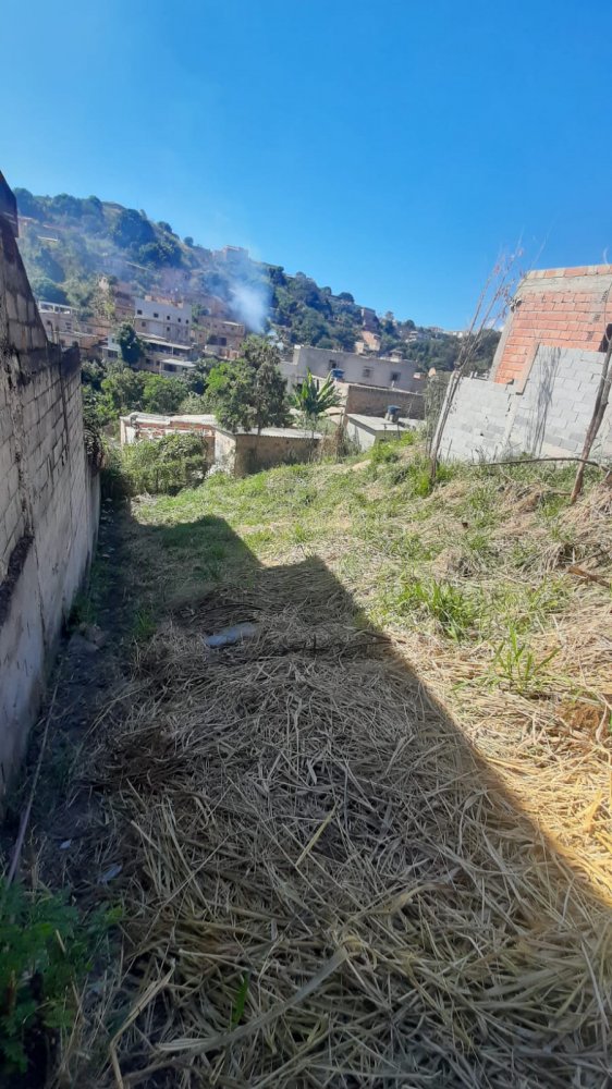 Lote - Venda - Ribeiro de Abreu - Belo Horizonte - MG